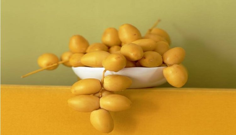 Ini 10 Jenis Kurma dan Kandungan Nutrisinya 2 nutrisi kurma