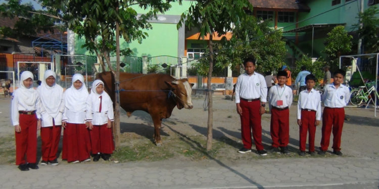 Urunan Qurban atas Nama Satu Sekolahan, Bagaimana? – Islampos