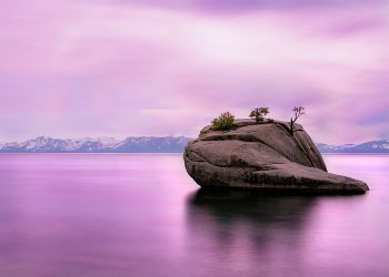 Ilustrasi. Foto: Unsplash