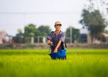 Petani