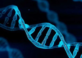 dna