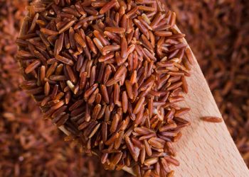 Manfaat Beras Merah